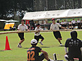 Img_0885