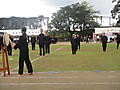 Img_0971