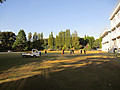 Img_2646 Img_2646