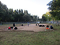Photo_4 Photo_4
